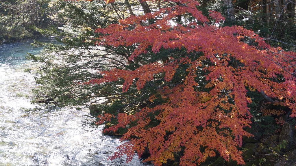 Kazeya Takayama (Gifu) Exterior foto